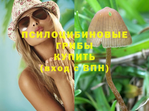 кокс Армянск