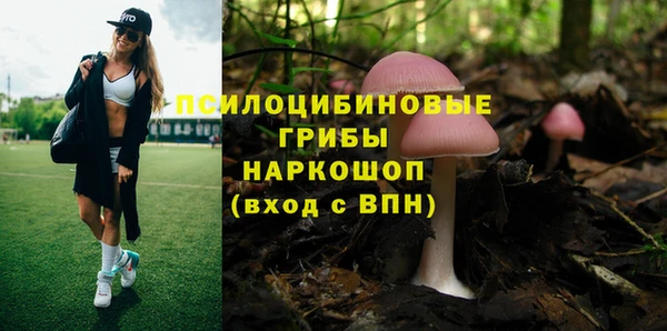 Альфа ПВП Арсеньев