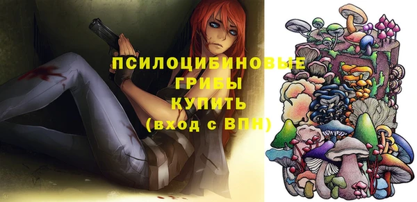 Альфа ПВП Арсеньев