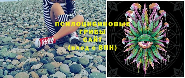 spice Баксан