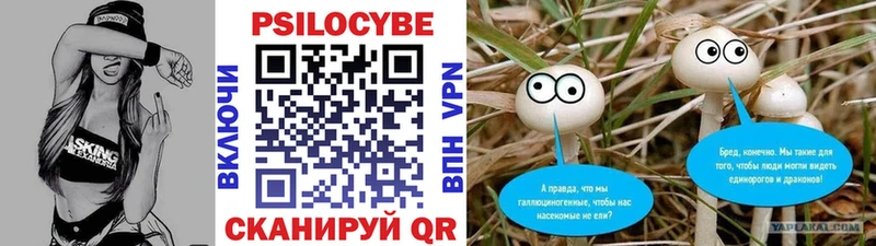 кракен ссылки  Боготол  Псилоцибиновые грибы Psilocybe  где продают наркотики 
